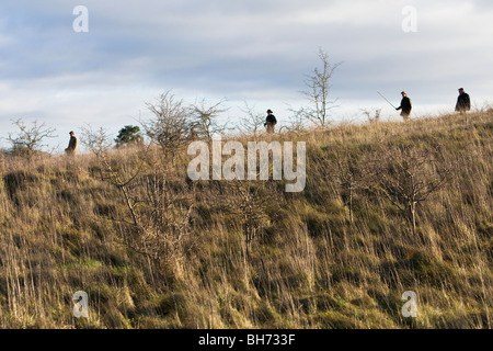 Fouets sur Shoot Faisan Banque D'Images