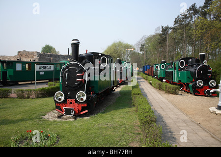 Fer Narrow-Gauge, musée, Wenecja, Wielkopolska, Pologne Banque D'Images