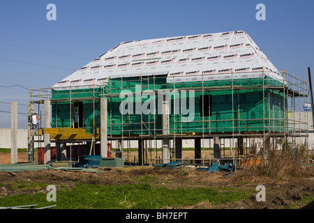 Maisons solaires sur pilotis est construit par Brad Pitt Make it Right Foundation abaisser Ninth Ward de la Nouvelle-Orléans, Louisiane Banque D'Images