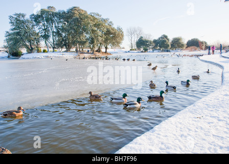 Le lac de plaisance, en hiver à Grimsby, North East Lincolnshire, Angleterre Banque D'Images