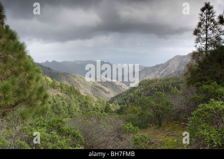 Vue depuis un sentier de randonnée à la recherche sur le Barranco de La Laja (vallée de La Laja) le sud-est de La Gomera, aux Canaries Banque D'Images