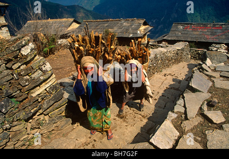 Deux jeunes femmes du village pause pendant que transporter le bois dans la région de doko paniers sur le dos de l'Himalaya au Népal central. Banque D'Images