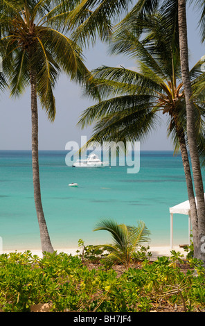 Anchor Bay Resort, Lizard Island, Grande Barrière de Corail, Queensland, Australie Banque D'Images