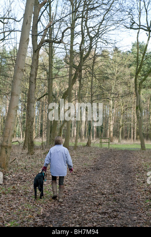 Une femme promener son chien dans les bois, la forêt de Thetford, Norfolk, UK Banque D'Images