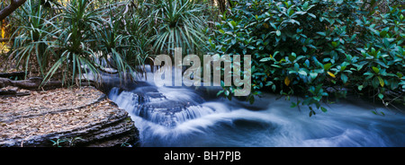 La rivière Douglas qui déborde du plateau calcaire du Territoire du Nord, Australie Banque D'Images