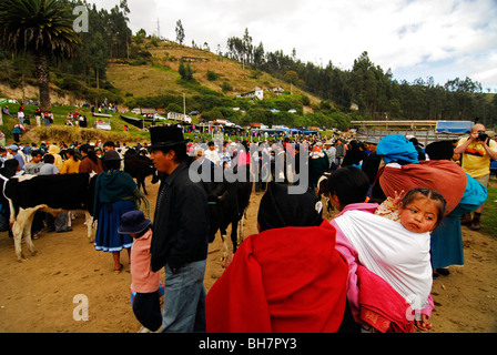 L'Équateur, Otavalo, marché aux bestiaux de monde avec les populations autochtones vêtus de leurs vêtements traditionnels, une mère portant un bébé Banque D'Images