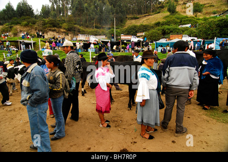 L'Équateur, Otavalo, marché aux bestiaux de monde avec les populations autochtones vêtus de leurs vêtements traditionnels, avec des vaches autour de th Banque D'Images