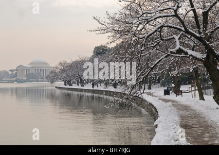 WASHINGTON DC, USA - le fameux cerisiers bordant le bassin de marée sont couverts dans la neige fraîche, avec le Jefferson Memorial au loin à gauche. Banque D'Images