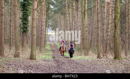 Deux adolescentes et leur cheval équitation poney entre forêt, la forêt de Thetford, Norfolk, UK Banque D'Images