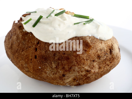 Une pomme de terre Russet cuits servis avec une garniture de fromage à la crème, la ciboulette et autres herbes Banque D'Images