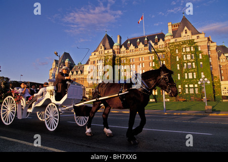 Cheval blanc passe le Empress Hotel historique au coucher du soleil, Victoria, Colombie-Britannique, Canada Banque D'Images