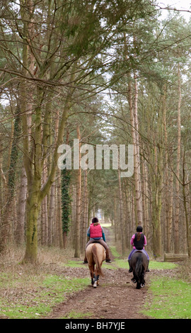 Deux adolescentes et leur cheval équitation poney entre forêt, la forêt de Thetford, Norfolk, UK Banque D'Images