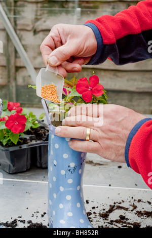 Plantés pour enfants bottes bleu blanc plante de jardin spots Banque D'Images