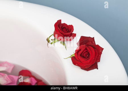 Deux roses sur le bord d'une baignoire Banque D'Images