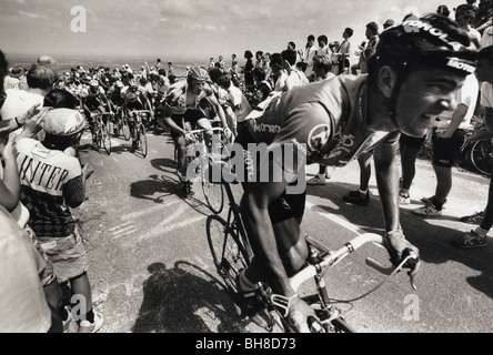 En 1994, les cyclistes en compétition dans le premier Tour de France cycliste pendant 20 ans, passant de plus de Ditchling Beacon, Sussex. Banque D'Images