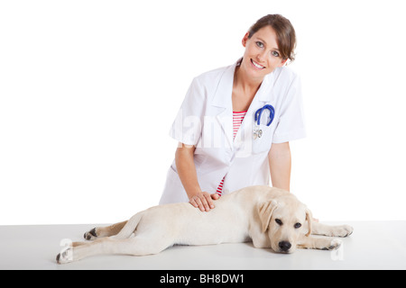 Les jeunes femmes prendre soin vétérinaire d'un beau Labrador chien Banque D'Images