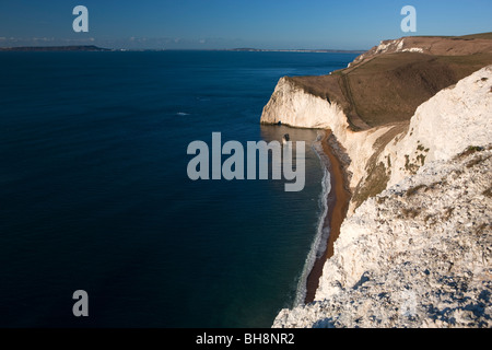 La tête de chauve-souris et le beurre d'Swyre Rock voir la tête. La côte jurassique. Crique de Lulworth. Le Dorset. L'Angleterre. L'Europe Banque D'Images