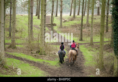 Deux adolescentes et leur cheval équitation poney entre forêt, la forêt de Thetford, Norfolk, UK Banque D'Images