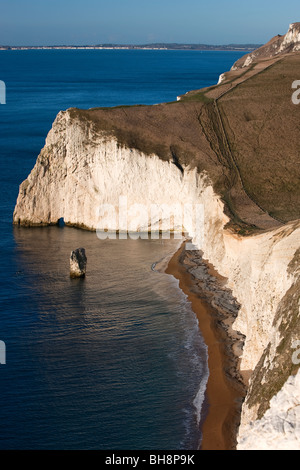 La tête de chauve-souris et le beurre d'Swyre Rock voir la tête. La côte jurassique. Crique de Lulworth. Le Dorset. L'Angleterre. L'Europe Banque D'Images