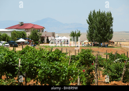Harvest Festival à Sonoita Vignobles, Elgin, Arizona, USA. Banque D'Images