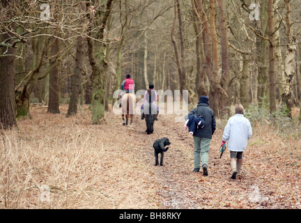 Les jeunes filles à cheval sur le chemin avec les marcheurs et chien, la forêt de Thetford, Norfolk UK Banque D'Images