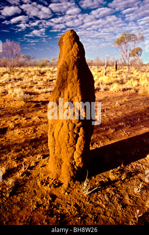 Termitières géantes dans les prairies de savane Banque D'Images