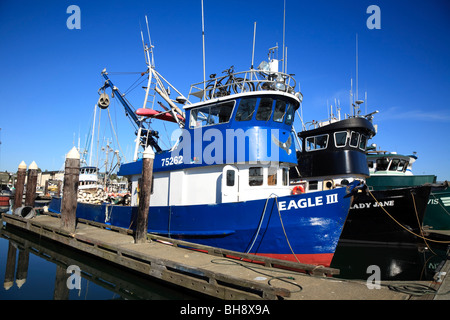 Bateaux de pêche dans le port de Squalicum, Bellingham, Washington, USA Banque D'Images