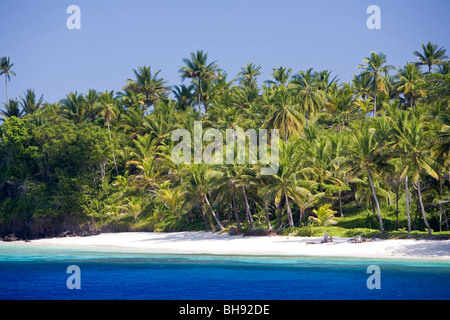 La plage bordée de palmiers de l'île, l'archipel de Sangihe-Talaud Tahulandang, Sulawesi, Indonésie Banque D'Images