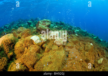 De bulles provenant du volcan sous-marin, Benau Waru, Sangihe-Talaud archipel, Sulawesi, Indonésie Banque D'Images