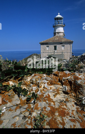 Palagruza, phare de l'île Palagruza, Adria, Croatie Banque D'Images