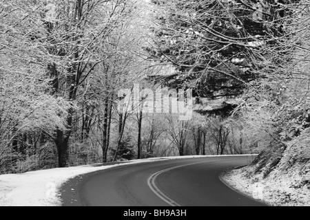 Arbre couvert de neige et une route d'hiver près de Portland Oregon Banque D'Images