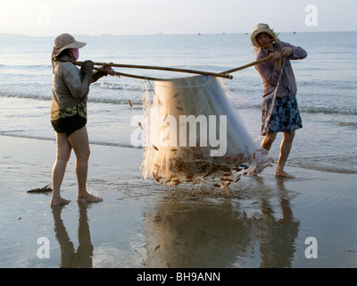 Les FEMMES DU VIETNAM À PARTIR DE LA COOPÉRATIVE DE PÊCHE CASTING NET DANS LA MER PRÈS DE MUI NE Banque D'Images