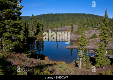 Sous-alpine tarns à Forbidden Plateau le parc Strathcona de l'île de Vancouver, BC Canada en octobre Banque D'Images