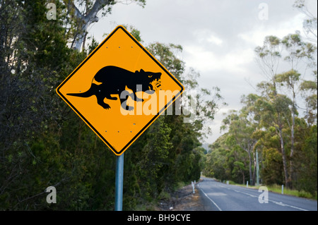 Diable de Tasmanie signe de route sur l'A9, péninsule de Tasman, Tasmanie, Australie Banque D'Images