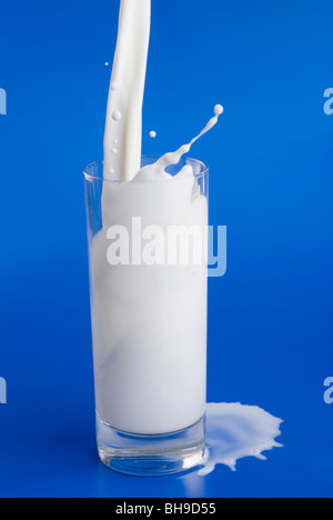 Stream de lait est versé dans un verre sur fond bleu. Banque D'Images