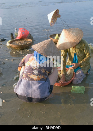 Les FEMMES DU VIETNAM À PARTIR DE LA COOPÉRATIVE DE PÊCHE DE TRAVAILLER À PROXIMITÉ DE MUI NE Photo © Julio Etchart Banque D'Images