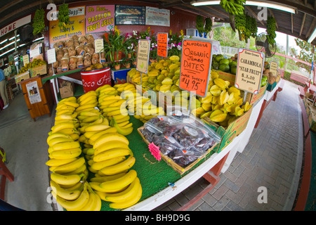 Robert est ici stand de fruits à Homestead en Floride Banque D'Images