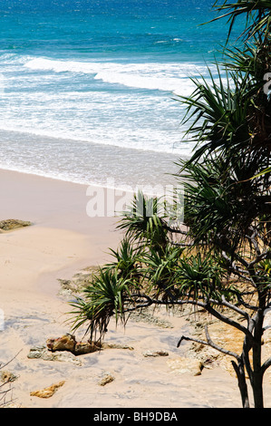 NORTH STRADBROKE ISLAND, Australie - Cylinder Beach sur North Stradbroke Island, Queensland, Australie l'île North Stradbroke Island, située juste à côté de Brisbane, la capitale du Queensland, est la deuxième plus grande île de sable au monde et, avec ses kilomètres de plages de sable, une destination de vacances d'été populaire. Cette île, qui abrite le peuple Quandamooka et un riche éventail de faune et de flore uniques, est l'une des plus grandes îles de sable du monde et un Trésor naturel bien aimé dans le Queensland. Banque D'Images