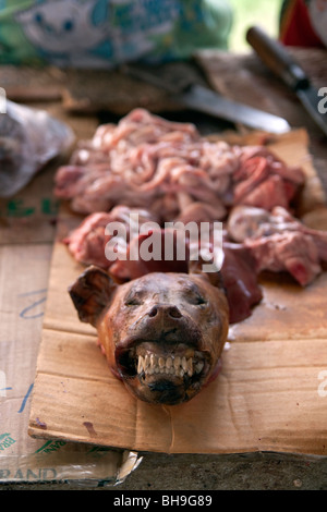 La viande de chien à vendre à un marché de Sam Neua, Laos Banque D'Images