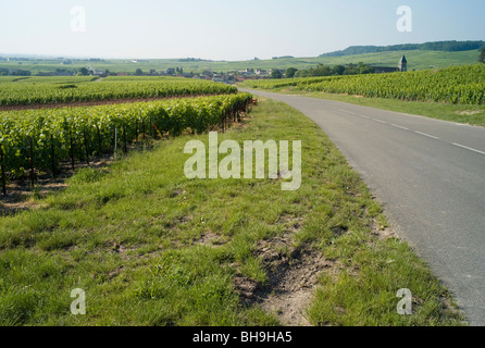 Route à travers vignobles près d'Épernay, Marne, Grand Est, dans la région Champagne, France Banque D'Images