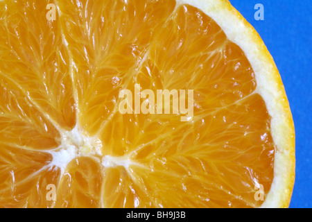 Close up of segment orange sur fond bleu contrasté Banque D'Images