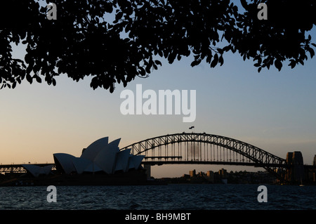SYDNEY, Australie - SYDNEY, AUSTRALIE - Sydney Opera House et Sydney Harbour Bridge silhoutte of mountain range at sunset avec encadrement d'arbres la vue de Mme Macquarie's Point Banque D'Images