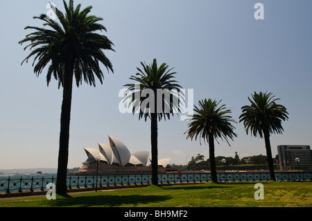 SYDNEY, Australie - SYDNEY, AUSTRALIE - Sydney Opera House encadrée par des silhouettes de palmiers dans Dawes Point Park à Sydney, le quartier historique des Rocks district Banque D'Images