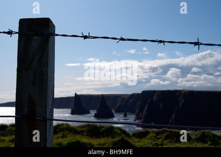 Des piles de Duncansby et Thirle porte par une clôture en fil barbelé Banque D'Images