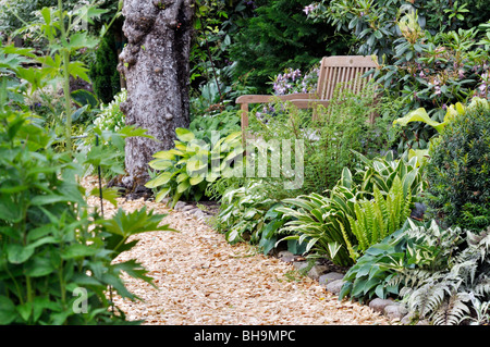 Jardin ombragé avec des hostas et fougères. design : Marianne et detlef lüdke Banque D'Images