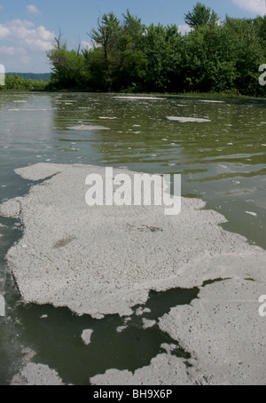 pollution des eaux Banque D'Images