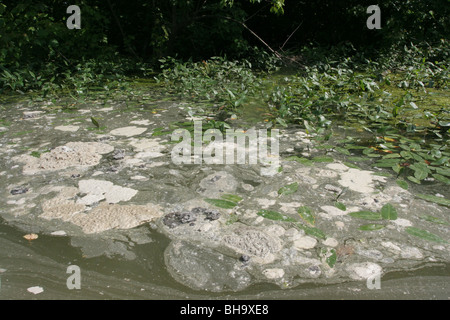 La pollution de l'eau i Banque D'Images