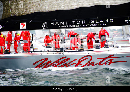 SYDNEY, AUSTRALIE - Sydney, Australie - Super maxi yacht Wild Oats XI au début de la 2009 Rolex Sydney to Harbour Yacht Race dans le port de Sydney. L'avoine sauvage a été skippé par Mark Richards et était 2e en ligne globale d'honneurs. Banque D'Images