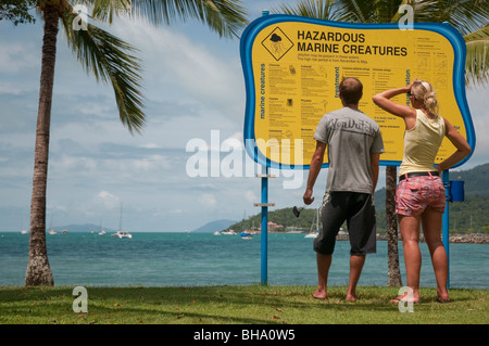 Les touristes à la recherche de la créature marine dangereux attention à Airlie Beach, dans le Queensland Banque D'Images