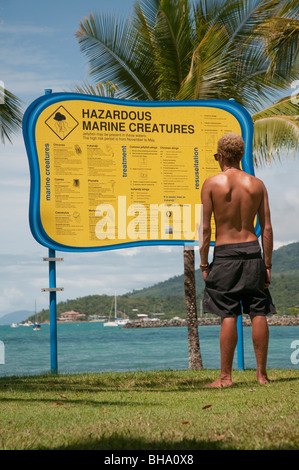 Les touristes à la recherche de la créature marine dangereux attention à Airlie Beach, dans le Queensland Banque D'Images